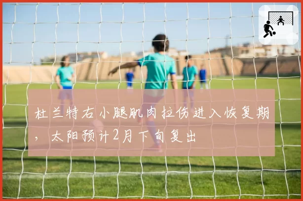 杜兰特右小腿肌肉拉伤进入恢复期，太阳预计2月下旬复出