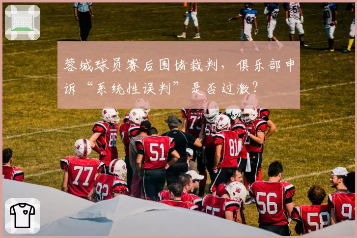 蓉城球员赛后围堵裁判，俱乐部申诉“系统性误判”是否过激？