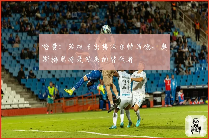 哈曼:若纽卡出售沃尔特马德,奥斯梅恩将是完美的替代者